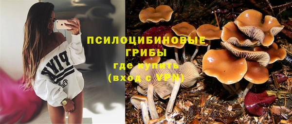 стафф Абаза