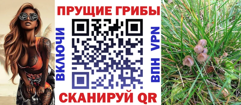 Галлюциногенные грибы Magic Shrooms Приморск