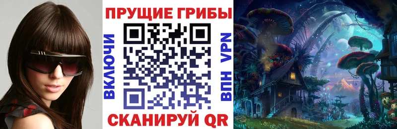 Псилоцибиновые грибы Magic Shrooms  площадка телеграм  Приморск 